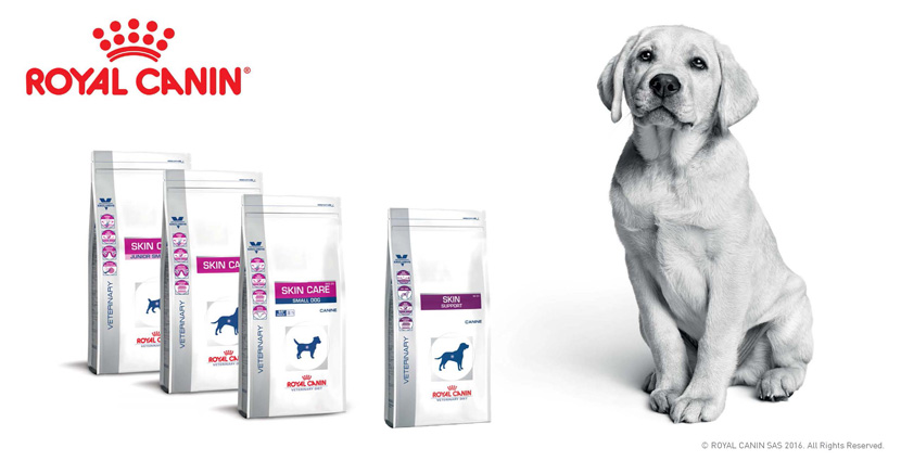 Royal Canin Skin Care