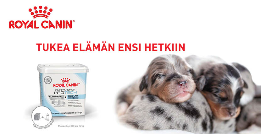 Royal Canin Puppy ProTech